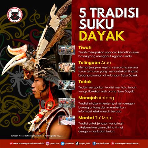 Infografis 5 Tradisi Suku Dayak Banteng Muda Indonesia