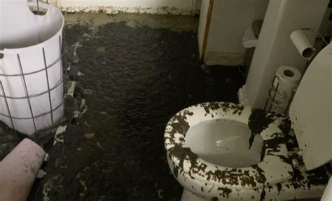 Poop Tornado Flies Out Of Toilets Across Neighborhood Free Beer And