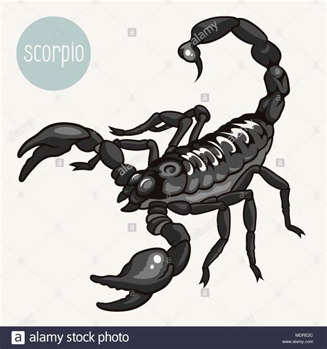 Realistic Vector Illustration Of A Scorpion Isolated On White Stock