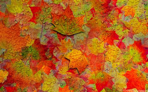 Fall Leaves Pattern Wallpaper Desktop Background