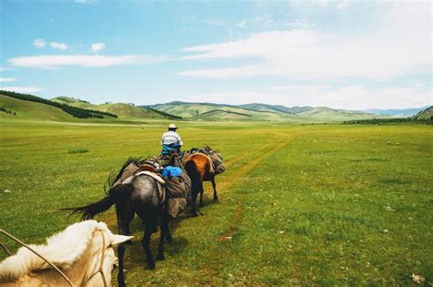 Horse Trekking In Gorkhi Terelj National Park Horse Trails Mongolia