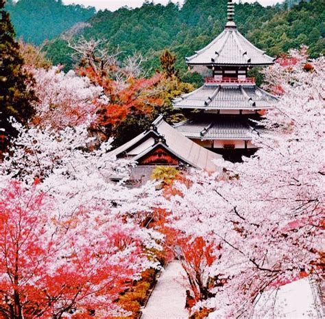 Japan Most Beautiful Places To Visit Pict Art