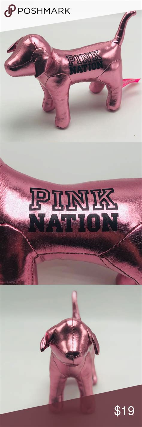 Pink Nation Victorias Secret Vs Pink Mini Dog Victoria Secret Pink