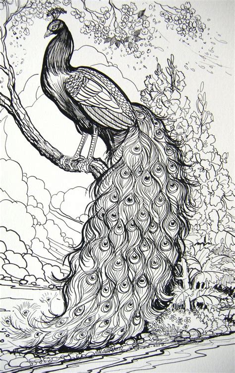Image Detail For Fairy Tale Peacock By Houseofchabrier On Deviantart