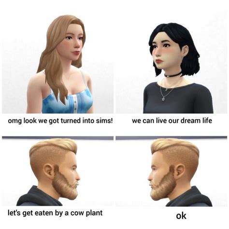 Pin On The Sims