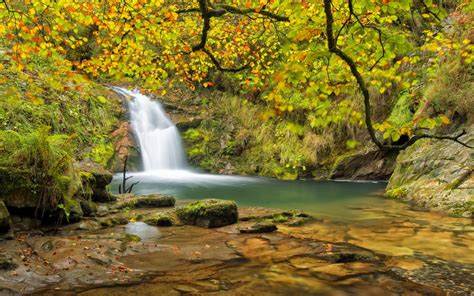 Autumn Forest Waterfall Hd Wallpaper Background Image 2560x1600