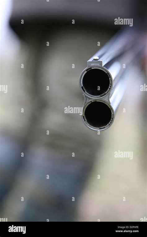 The Barrels Of A Double Barrel Over Under Shotgun Stock Photo Alamy