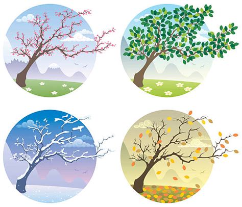 Four Seasons Illustrations Royalty Free Vector Graphics And Clip Art