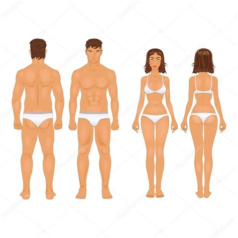 You can change line thickness if it is necessary. Healthy body type of man and woman in retro colors — Stock ...