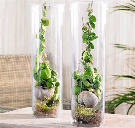 Composizione di piante grasse succulente 1 youtube. piccole piante grasse da appartamento - Cerca con Google ...