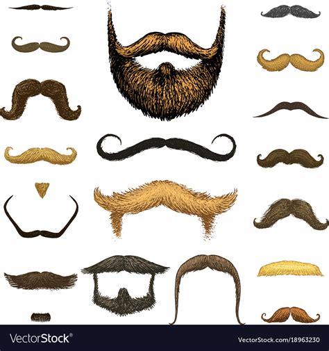 Set Of Mustache And Funny Beard Of Men Hipster Vector Image