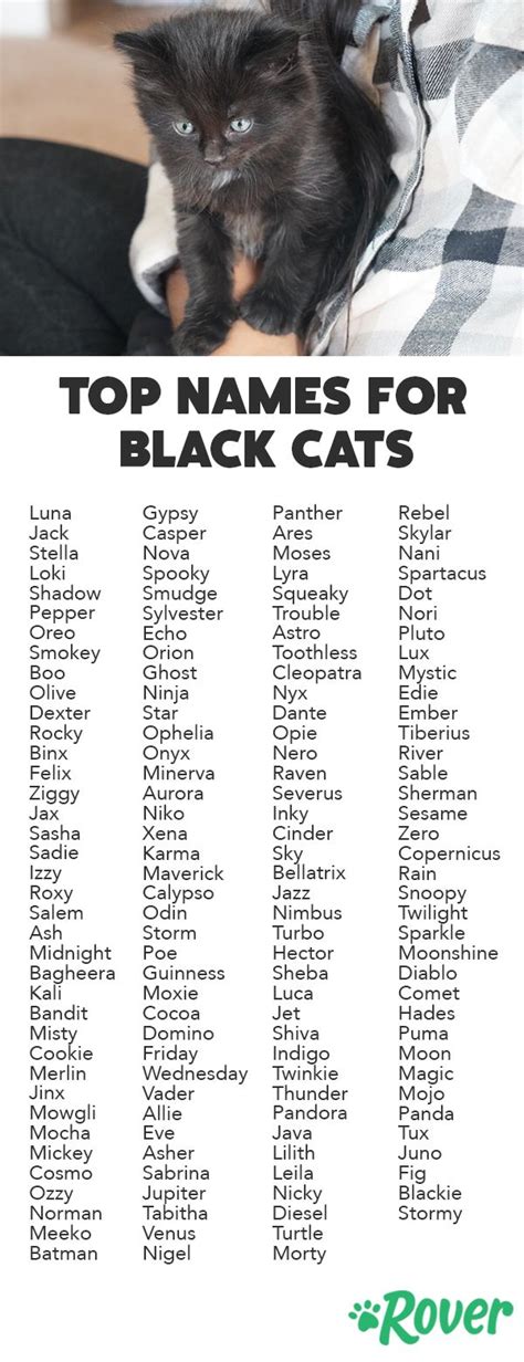 Over 160 Black Cat Names For Your Magical Mystical Cat Names For