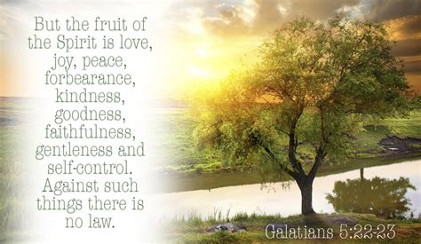 12 Top Bible Verses About The Fruit Of The Spirit