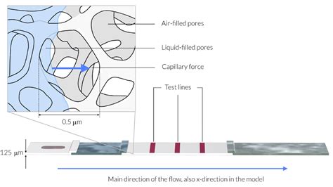 An Introduction To The Physics Of Rapid Detection Tests Comsol Blog