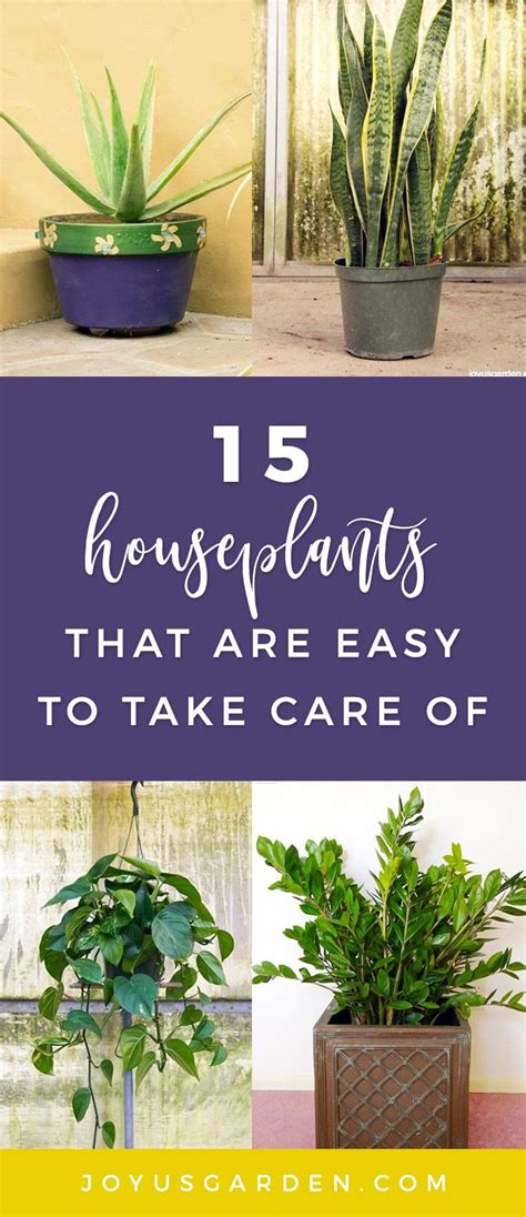 Who Has An Hour A Day To Spend Watering Their Plants This List Of 15