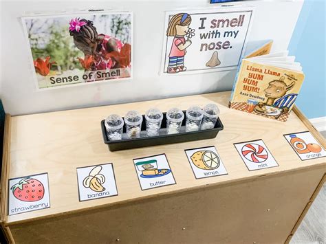 5 Senses Activities For Preschoolers Science Centers Science Center