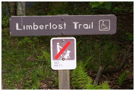 Limberlost Trail Virginia Trail Guide