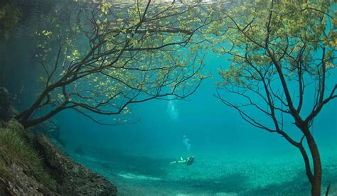 This Beautiful Austrian Lake Turns Into An Underwater Park Every Summer