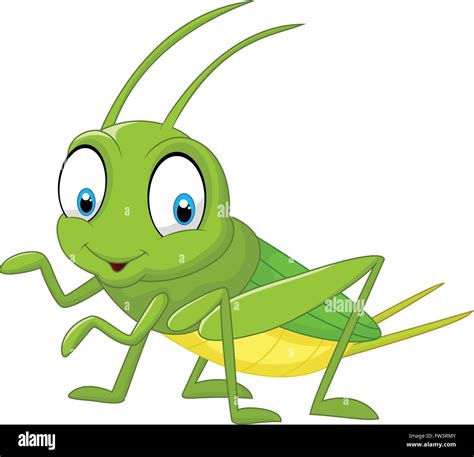 Cartoon Funny Cricket Stock Vector Image And Art Alamy