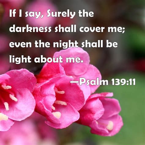 Psalm 13911 If I Say Surely The Darkness Shall Cover Me Even The