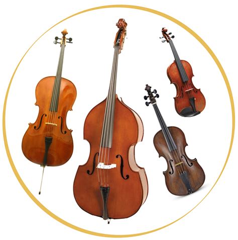 String Instruments List With Pictures And Names String Instruments