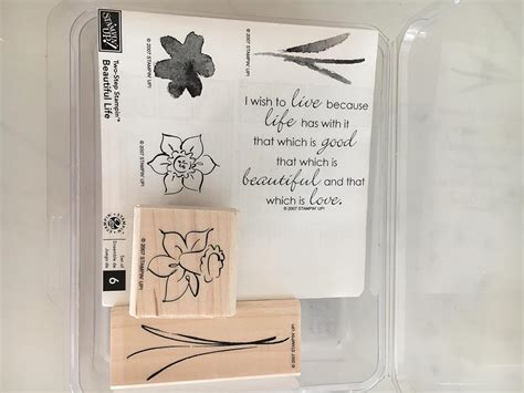 Amazon Com Stampin Up Two Step Stampin Beautiful Life Stamp Set Arts Crafts Sewing