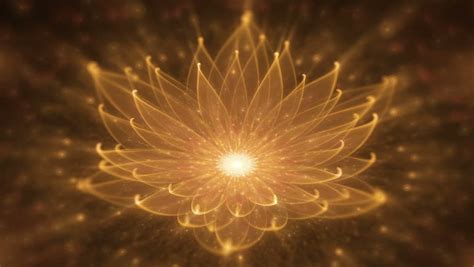 Golden Lotus Enlightenment Or Meditation And Universe