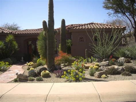 Arizona Front Yard Landscape Ideas Good Choice Binnacle Ajax