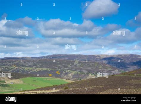 Scottish Moorland Showing Heather Management Stock Photo Alamy