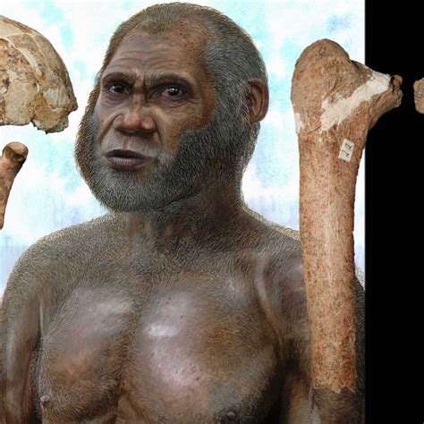 Thighbone Renews Mystery Over Identity Of Red Deer Cave People