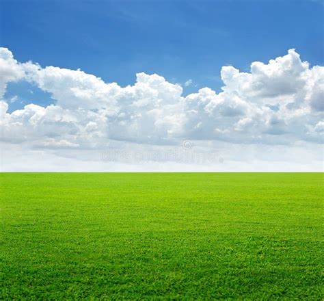 Lush Grass Field And Blue Sky With Cloud Background Stock Image Image