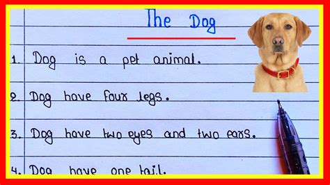 Dog Essay In English Dog Essay In English 10 Lines Dog Per Essay