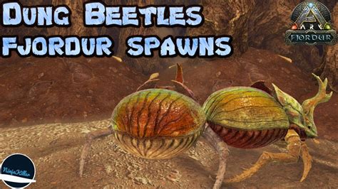 Dung Beetle Spawn Locations In Fjordur On Ark Survival Evolved YouTube