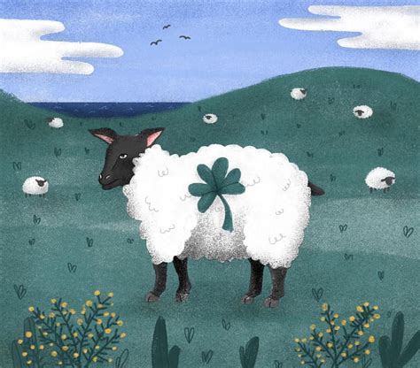 Irish Sheep By Alana Keenan