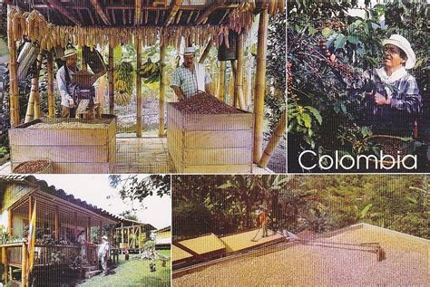 My Unesco World Heritage Postcards Colombia Coffee Cultural Landscape