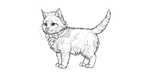 How To Draw A Super Cute Kitten Step By Step
