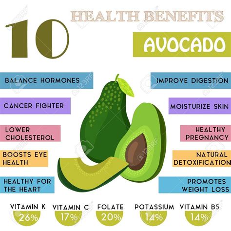 Vector 10 Health Benefits Information Of Avocado Nutrients