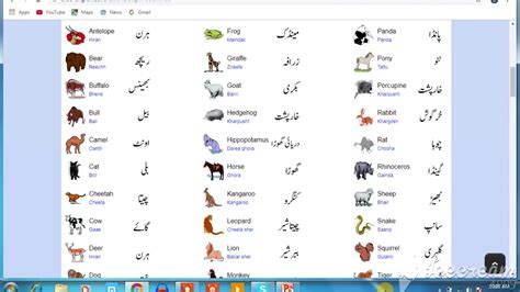 Pet Animals Name In Urdu Thousands Of Name Ideas For Your Pet Business