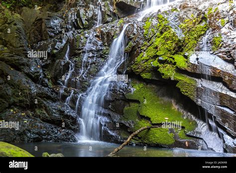 Cascade Falls In Tropical Forest Over Mossy Rocks Stock Photo Alamy