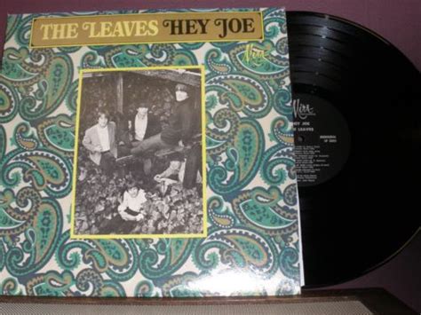 The Leaves Hey Joe 66 Mira Records 3005 Mono Ex Rare