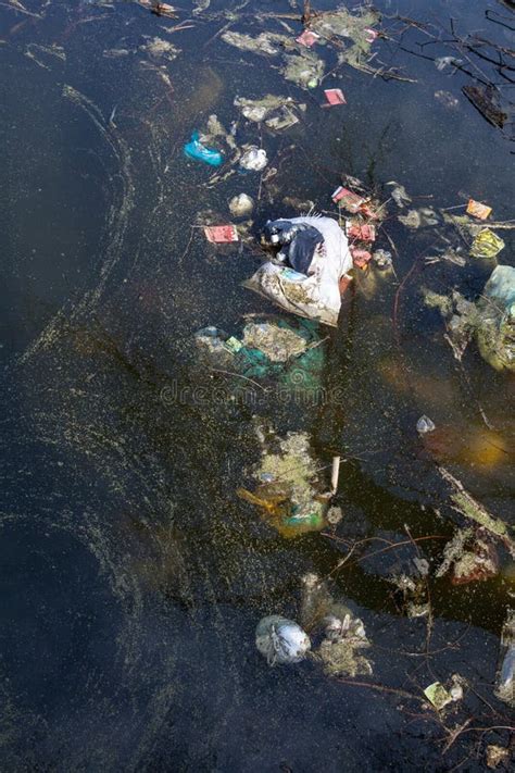 Garbage In Dirty Water Stock Photo Image Of Dump Junk 179862804