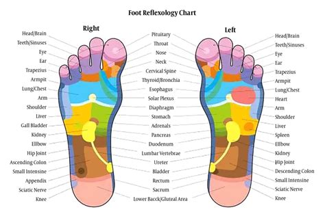 Reflexology For Constipation Easy Tcm Wisdom Your Path To Diy Health And Wellness