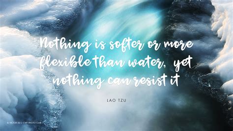 Eight Quotes That Illustrate Why Water Is Life Your Connection To