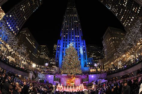 At lny, we offer architectural and portable lighting for any atmosphere. Another Oneonta Christmas Tree Destined For Rockefeller ...