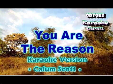 Em em7 g em7 cadd9 em9 cause i need you to see. You Are The Reason - Calum Scott | Karaoke Version Chords ...