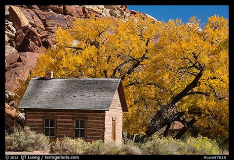 Picturephoto Fruita One Room Schoolhouse In Autumn Capitol Reef