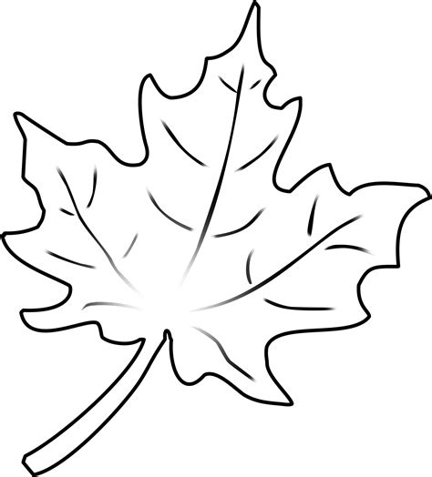Fall Leaf Outline Png Clipart Full Size Clipart Pinclipart