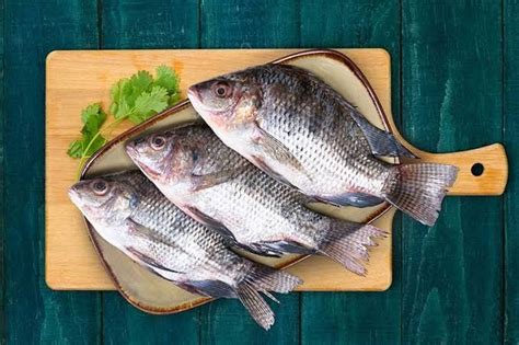Tilapiajalebi Whole Indofoody Buy Tilapia Fish Online