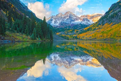 Autumnal Bells Smithsonian Photo Contest Smithsonian Magazine