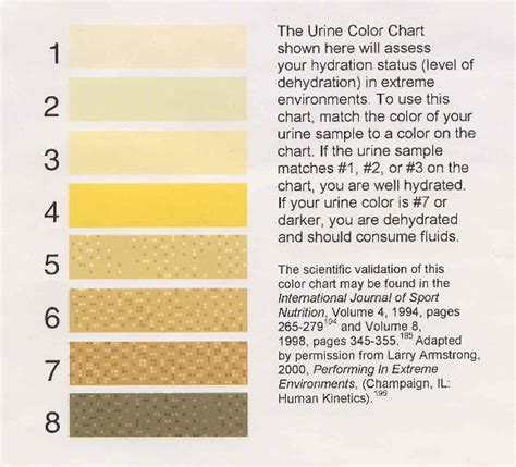 But why is urine yellow? Putting the Yellow in your Urine | ScienceBlogs
